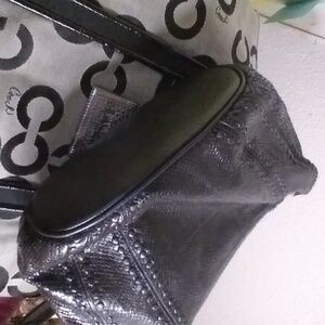 Coach and Brighton bag